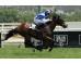  Carrera: P.Marcos Carmena Monta: Sr.Pineda G. Caballo: Gimme Love